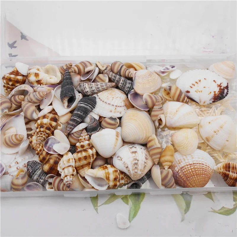 200PCS Natural Shell Conch Starfish Charms For Decoration DIY Jewelry