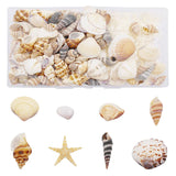 200PCS Natural Shell Conch Starfish Charms For Decoration DIY Jewelry