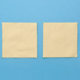 200Pcs Silver Polishing Cloth, Jewelry Cleaning Cloth Individually Wrapped