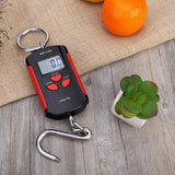 Portable Electronic Lifting Scale Mini Hook Scale