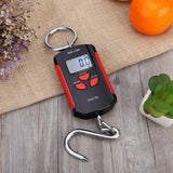 Portable Electronic Lifting Scale Mini Hook Scale