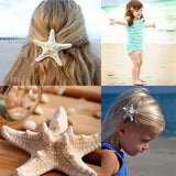Starfish Sea Star Hair Clip Hairpin Jewelry, 2pcs/lot Beach Accessory