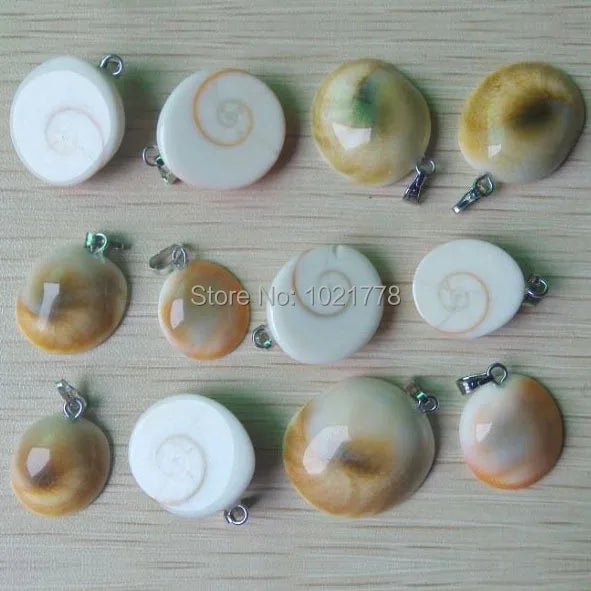 Natural Shell Snail Charms Pendants for Jewelry Making 24pcs/lot