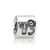 S925 Silver 12 Constellations Charm for Bracelet Necklace Jewelry