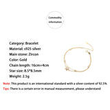 Sterling Silver 925 Star Zircon Double Chains Bracelet Indian Jewelry