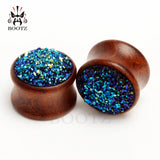 2pcs Rosewood Ear Plugs Pair with Stone Ear Gauges