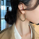 Hip-Hop Metal Circle Hoop Earrings For Woman Temperament Jewelry