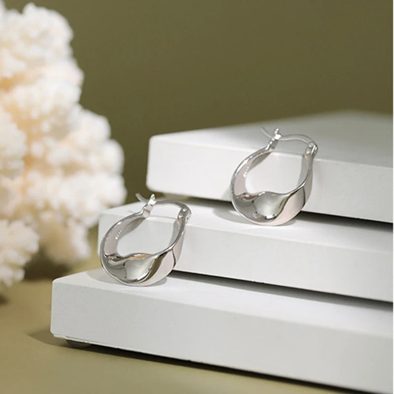 S925 Sterling Silver Earrings Cold Style Wild Female Ear Jewelry
