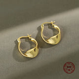 S925 Sterling Silver Earrings Cold Style Wild Female Ear Jewelry