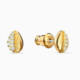 Shell Yellow Earrings Charming Accessories