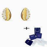Shell Yellow Earrings Charming Accessories