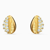 Shell Yellow Earrings Charming Accessories