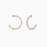 Exaggerated Geometry Rose Ladies Earrings