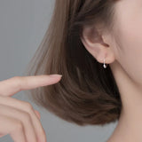 S925 Small Hoop Earrings Gothic Punk Circle Twist Earring Minimalist Jewelry