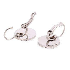 Austrian Titanium Steel Crystal Earrings for Women