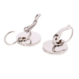 Austrian Titanium Steel Crystal Earrings for Women