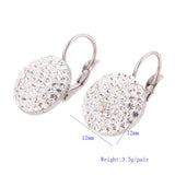 Austrian Titanium Steel Crystal Earrings for Women