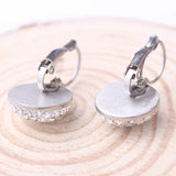 Austrian Titanium Steel Crystal Earrings for Women