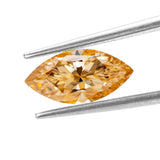 img_844259