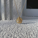 Stainless Steel Pearl Shell Pendant Necklace for Women
