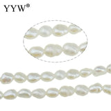 Cultured Rice Freshwater Pearl Beads Natural 2-3mm 15 Inch Strand