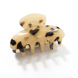 Acetate Hair Claw Clips Barrette Clamp Jelly Colors Hairpin Hair Accessories