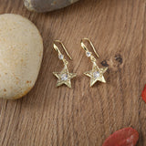 Inlaid Temperament Long Earrings