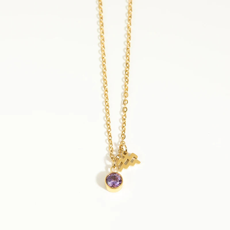 Zodiac Sign Birthstones Pendant Necklaces For Women Plated Stainless Steel