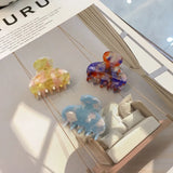 Autumn Girls Hair Clip Accessories Acetate Sheet Geometric Women Hairp
