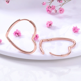 Daisy Stud Earrings 925 Silver Flower Pendientes