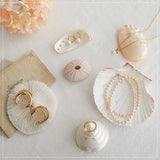 Natural Coral Shell Jewelry Photo Props