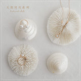 Natural Coral Shell Jewelry Photo Props