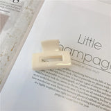 Small Square Clip Acetate Hairpin Hair Clip Princess For Women