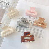 Small Square Clip Acetate Hairpin Hair Clip Princess For Women