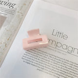 Small Square Clip Acetate Hairpin Hair Clip Princess For Women