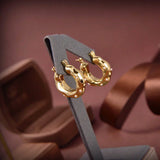 Small Hoop Earrings for Women - High Hanging Party Bijoux