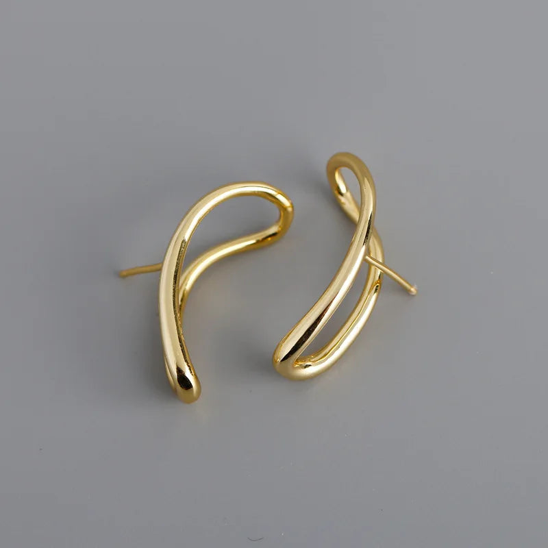 Geometric Irregular Lines S925 Sterling Silver Earrings Accessories