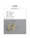 Geometric Irregular Lines S925 Sterling Silver Earrings Accessories