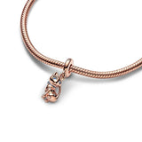 925 Silver Cat Charm Rose Beads for Bracelets DIY Jewelry