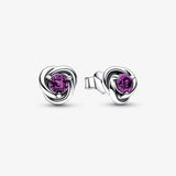 S925 Silver High December Earrings, Lady's Birthday Gift
