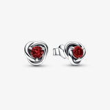 S925 Silver High December Earrings, Lady's Birthday Gift