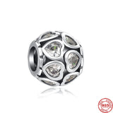 S925 Silver Charms Beads Camera Bone Claw Print Spirit Fit Bracelet