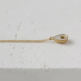 French Shell Avocado Fruit Necklace Clavicle Chain Titanium
