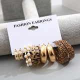 Fashion Resin Hoop Earring Set for Women