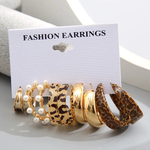 Fashion Resin Hoop Earring Set for Women