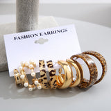 Fashion Resin Hoop Earring Set for Women