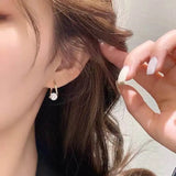 Delicate Zirconia Earrings for Women