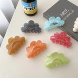 Colorful Hollow out Acrylic Ponytail Clip Hair Claws