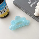 Colorful Hollow out Acrylic Ponytail Clip Hair Claws