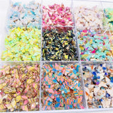 Multicolor Acrylic Butterfly Pendant Charm for DIY Keychain Accessories
